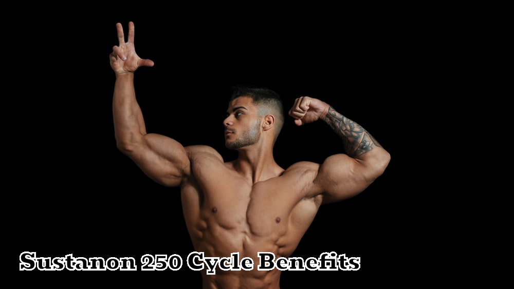 Sustanon 250 Cycle Benefits