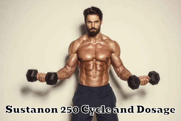 Sustanon 250 Cycle and Dosage
