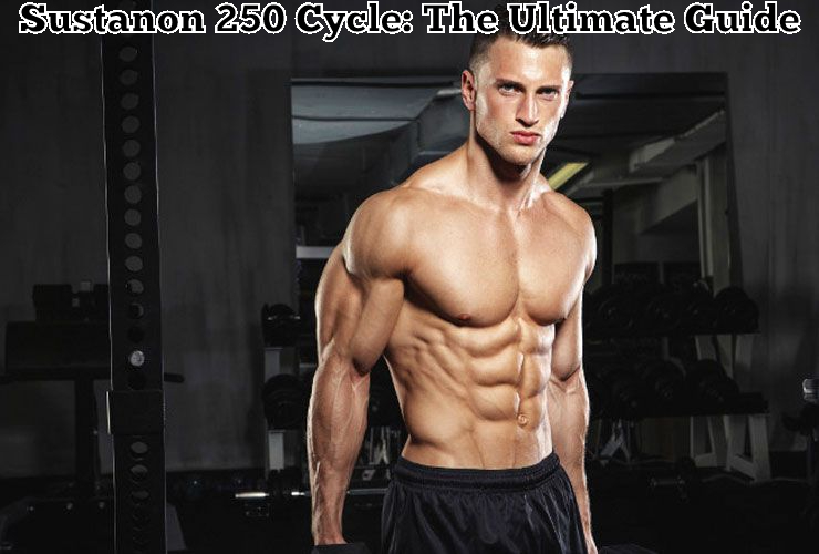 Sustanon 250 Cycle: The Ultimate Guide
