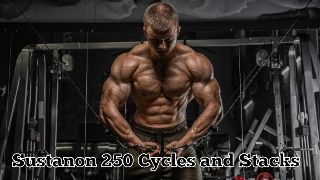Sustanon 250 Cycles and Stacks