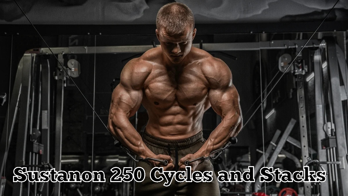 Sustanon 250 Cycle The Ultimate Guide Frostsportiva Sustanon sustanon-250-cycle-the-ultimate-guide-frostsportiva-sustanon