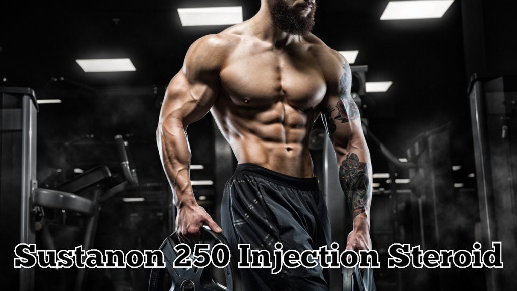Sustanon 250 Injection Steroid
