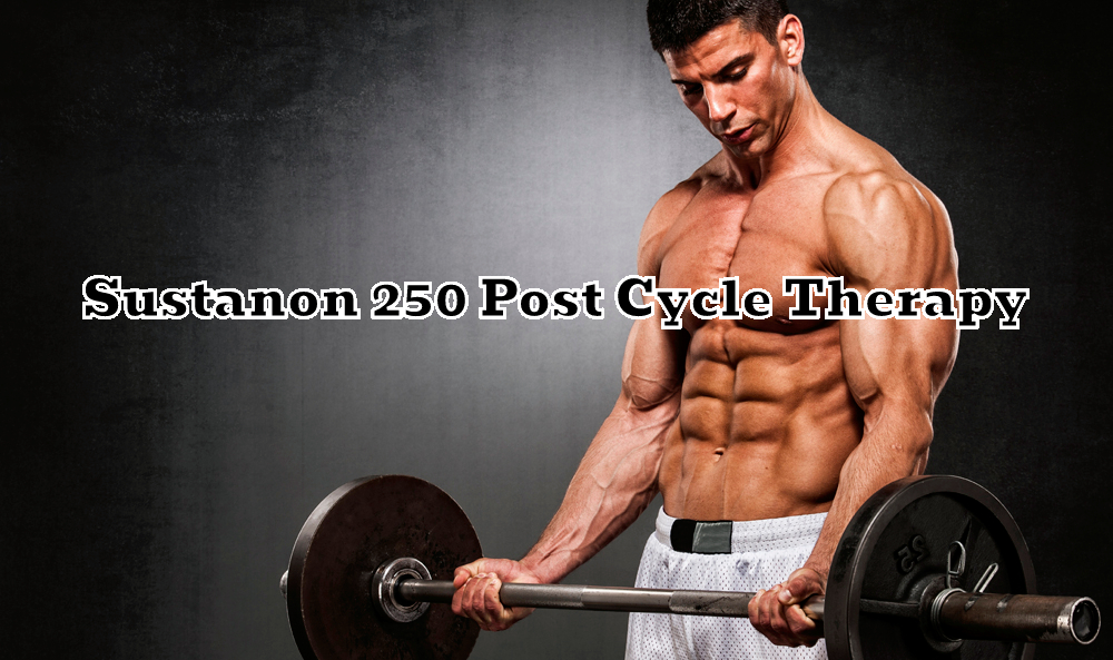 Sustanon 250 Post Cycle Therapy